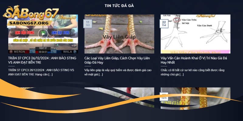 Cách nhận biết link truy cập SABONG67 an toàn
