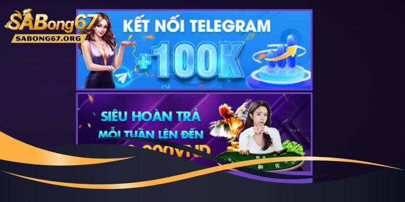 Cung cấp sai lệch thông tin không thể tham gia khuyến mãi