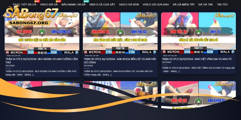 Mục tiêu SABONG67 trở thành nhà cái hàng đầu chuyên về đá gà
